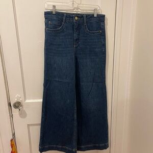 Anthropologie Dark Blue Flare Jeans